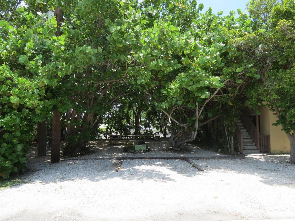 Ed & Ellen'S Lodgings Key Largo Motel Dış mekan fotoğraf