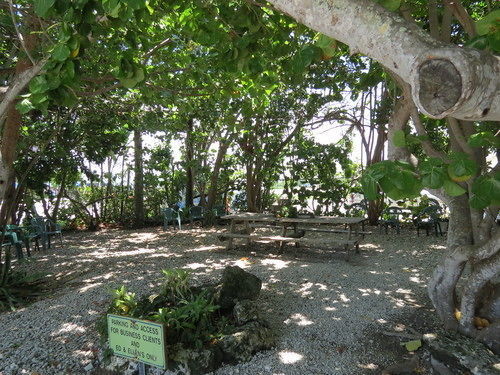 Ed & Ellen'S Lodgings Key Largo Motel Dış mekan fotoğraf