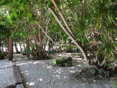 Ed & Ellen'S Lodgings Key Largo Motel Dış mekan fotoğraf