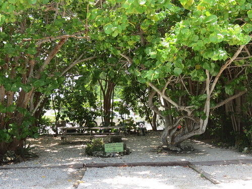 Ed & Ellen'S Lodgings Key Largo Motel Dış mekan fotoğraf